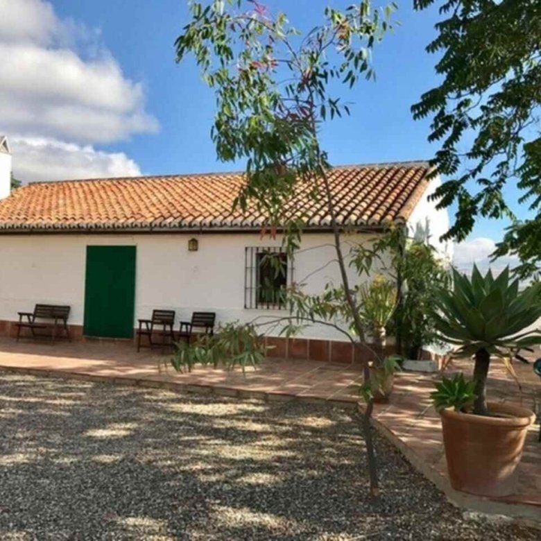 finca alora bsp109 1