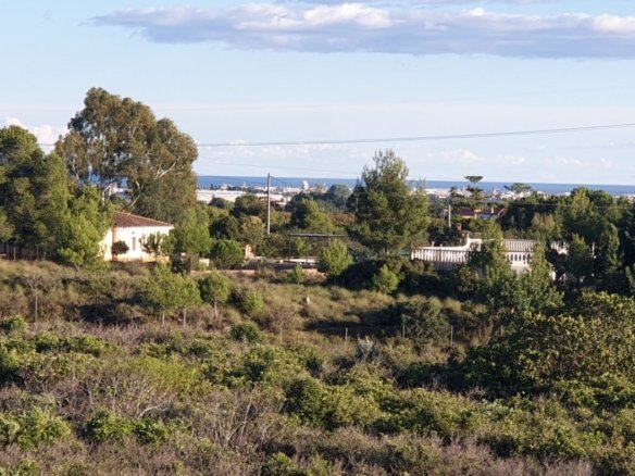 7,765 m² Land in Naquera - Caza De Casa
