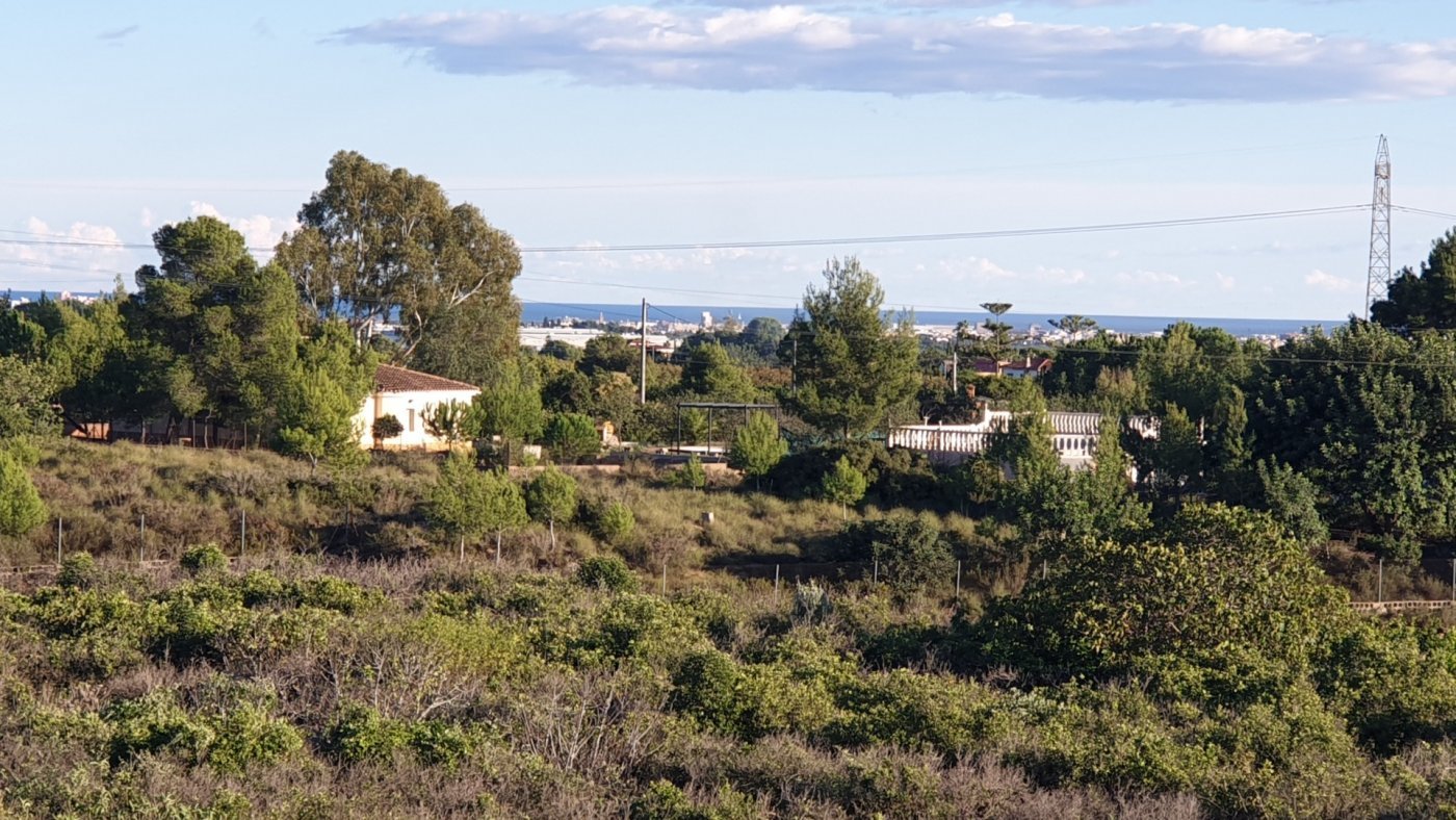 7,765 m² Land in Naquera - Caza De Casa