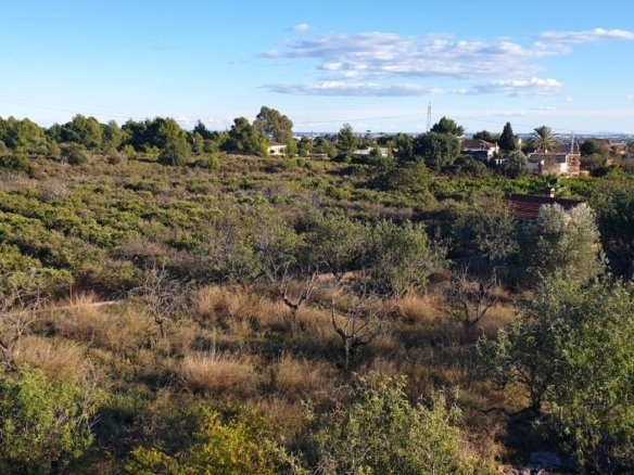 7,765 m² Land in Naquera - Caza De Casa