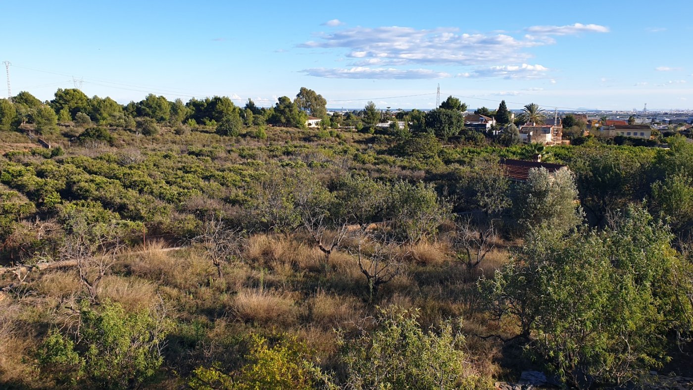 7,765 m² Land in Naquera - Caza De Casa