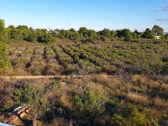 7,765 m² Land in Naquera - Caza De Casa