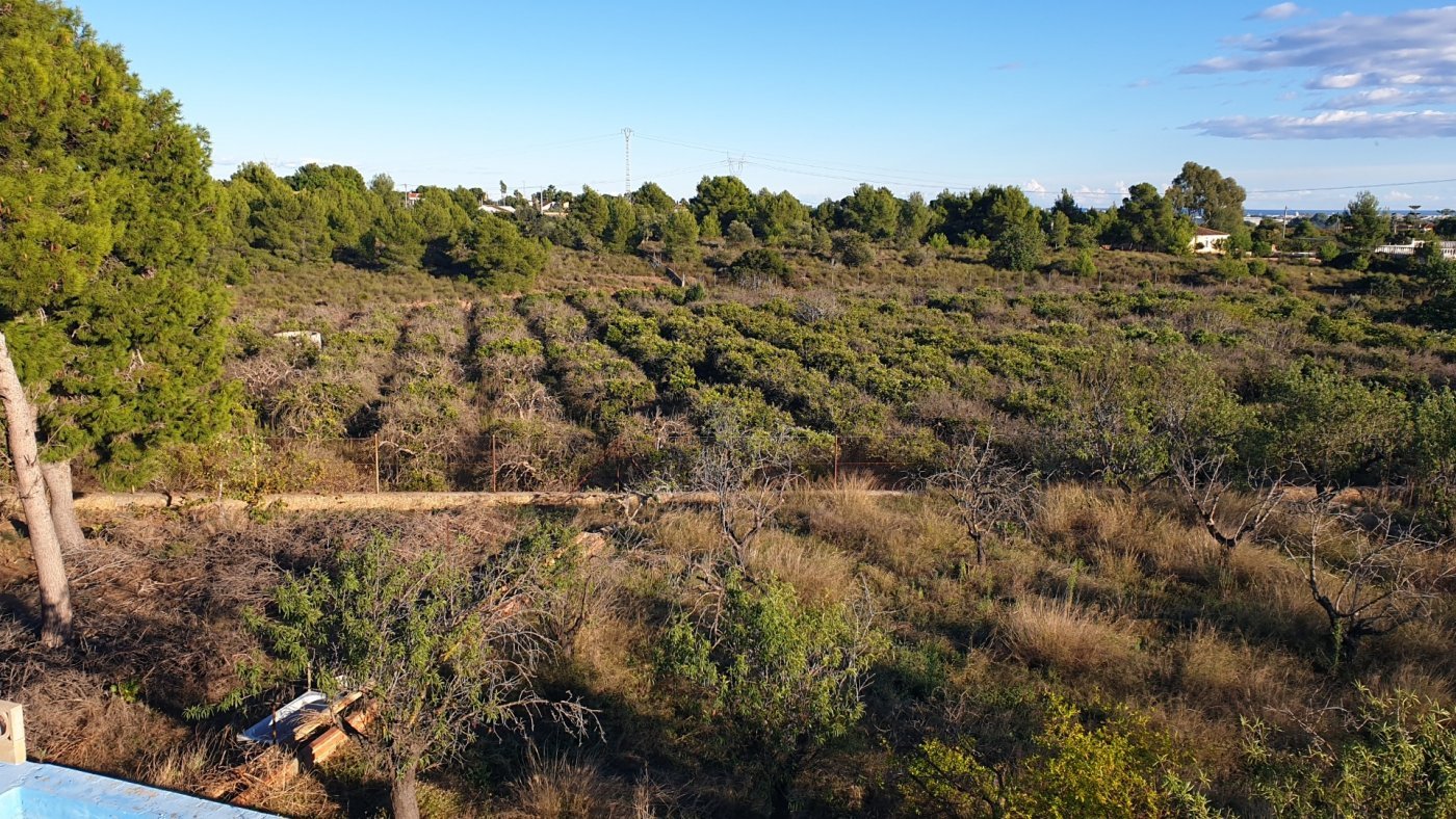 7,765 m² Land in Naquera - Caza De Casa