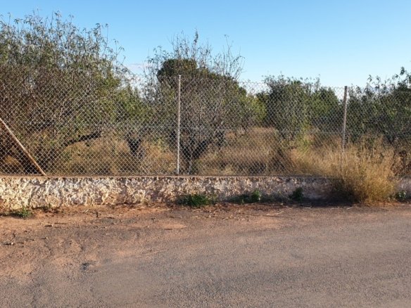 7,765 m² Land in Naquera - Caza De Casa