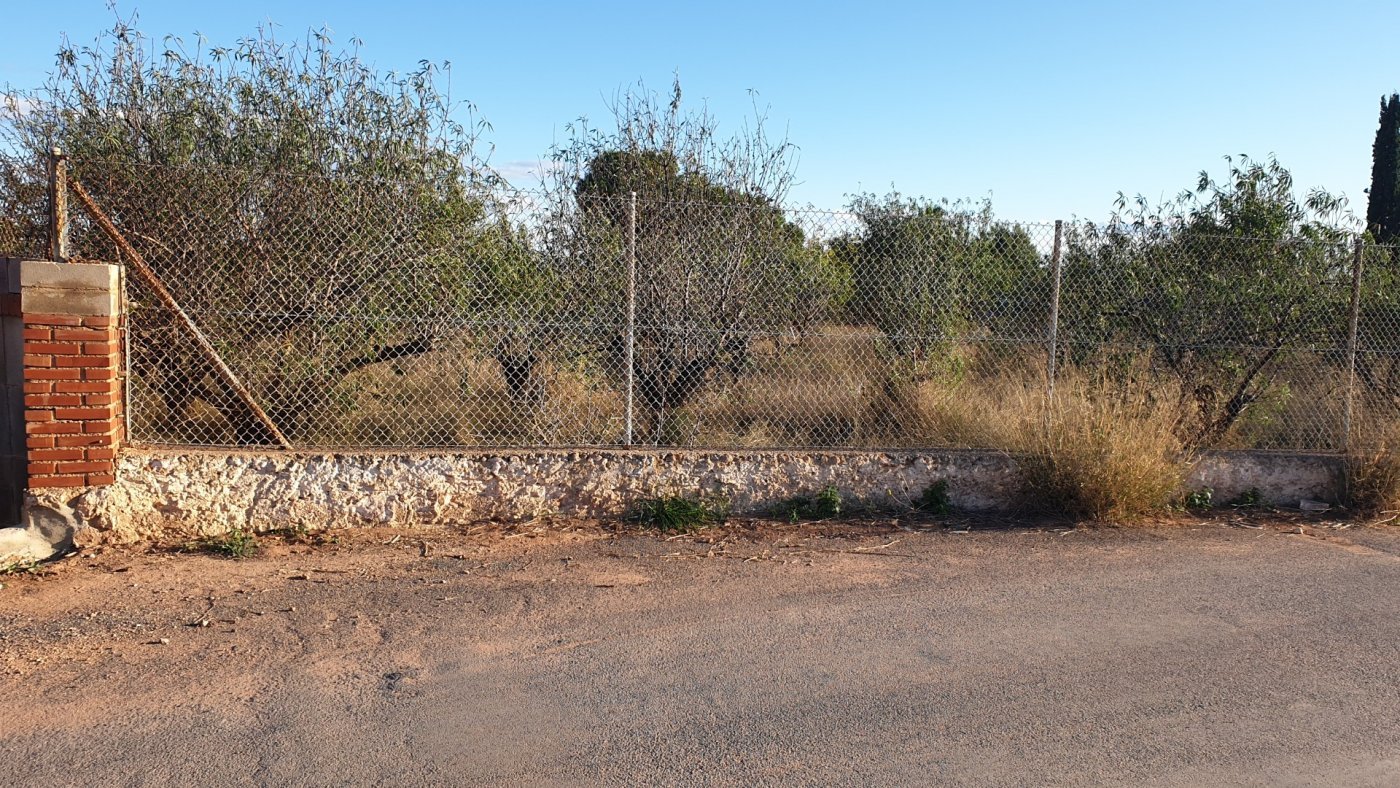 7,765 m² Land in Naquera - Caza De Casa