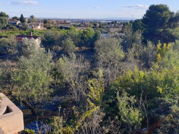 7,765 m² Land in Naquera - Caza De Casa