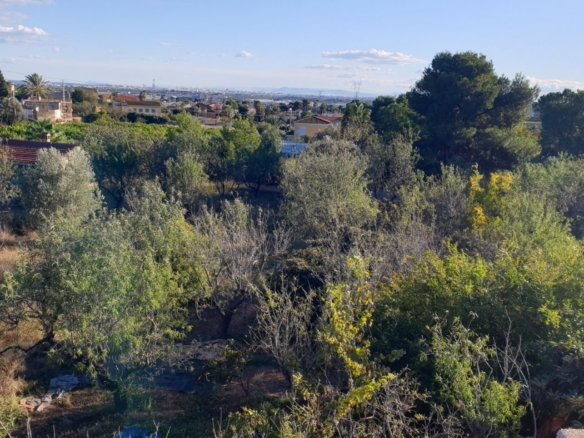 7,765 m² Land in Naquera - Caza De Casa