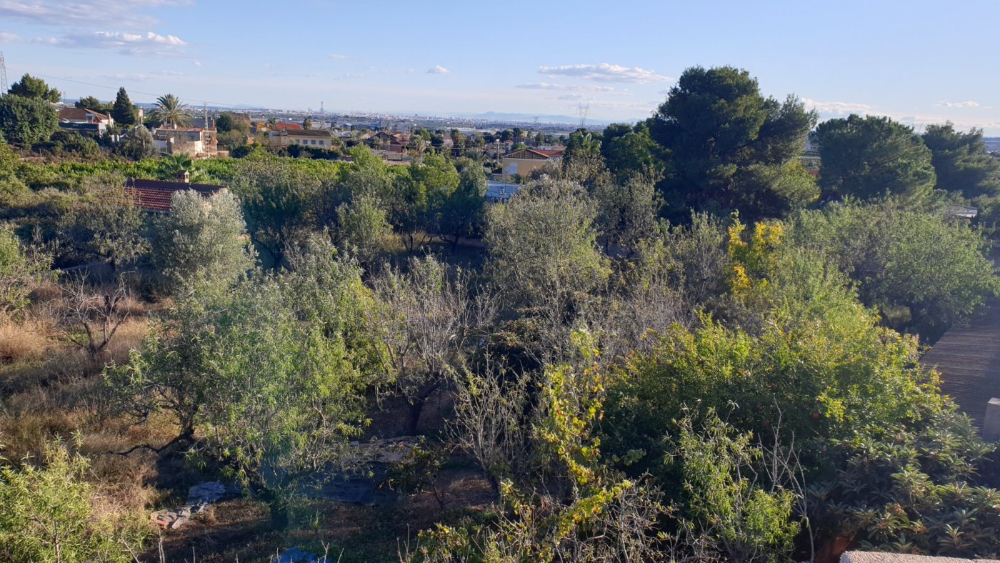 7,765 m² Land in Naquera - Caza De Casa