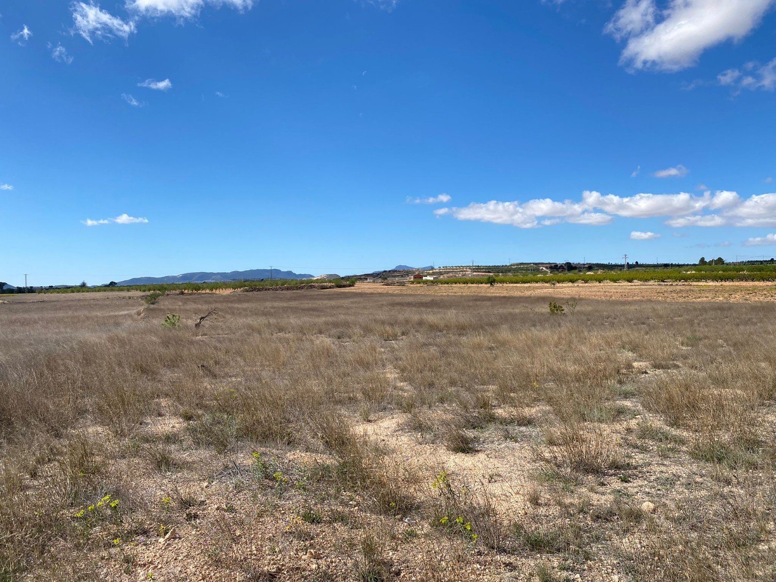 20,357 m² Land in Pinoso - Caza De Casa