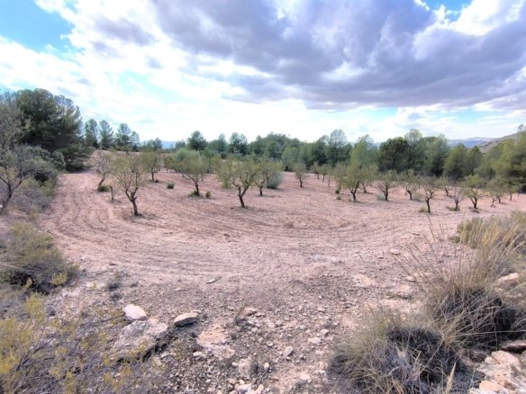 Land in Yecla - Caza De Casa