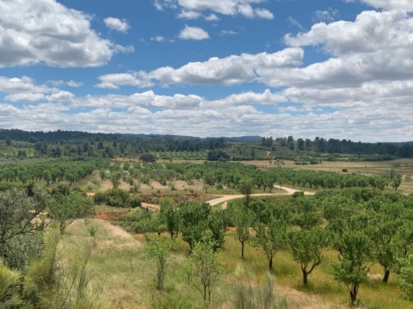 40,000 m² Land in Ayora - Caza De Casa