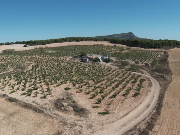 10 Bedroom 3 Bathroom Country House in Yecla - Caza De Casa