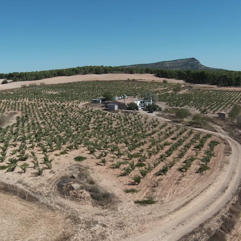 10 Bedroom 3 Bathroom Country House in Yecla - Caza De Casa