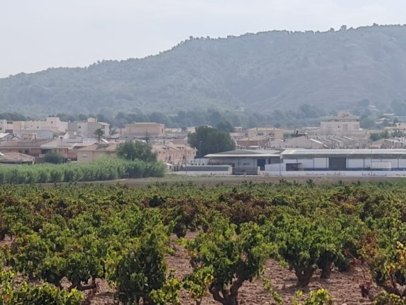 Land in Pinoso - Caza De Casa