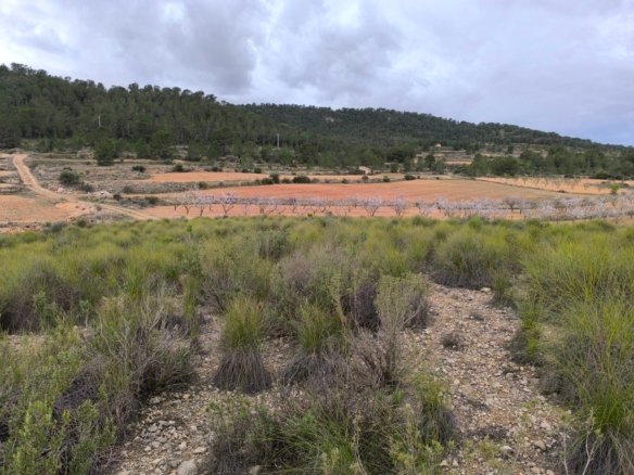 14,595 m² Land in Chinorlet - Caza De Casa