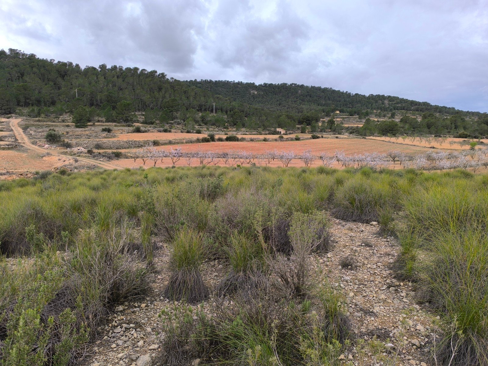 14,595 m² Land in Chinorlet - Caza De Casa