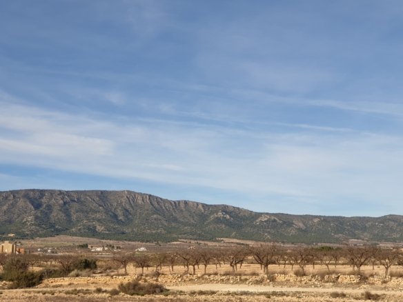 12,116 m² Land in Pinoso - Caza De Casa
