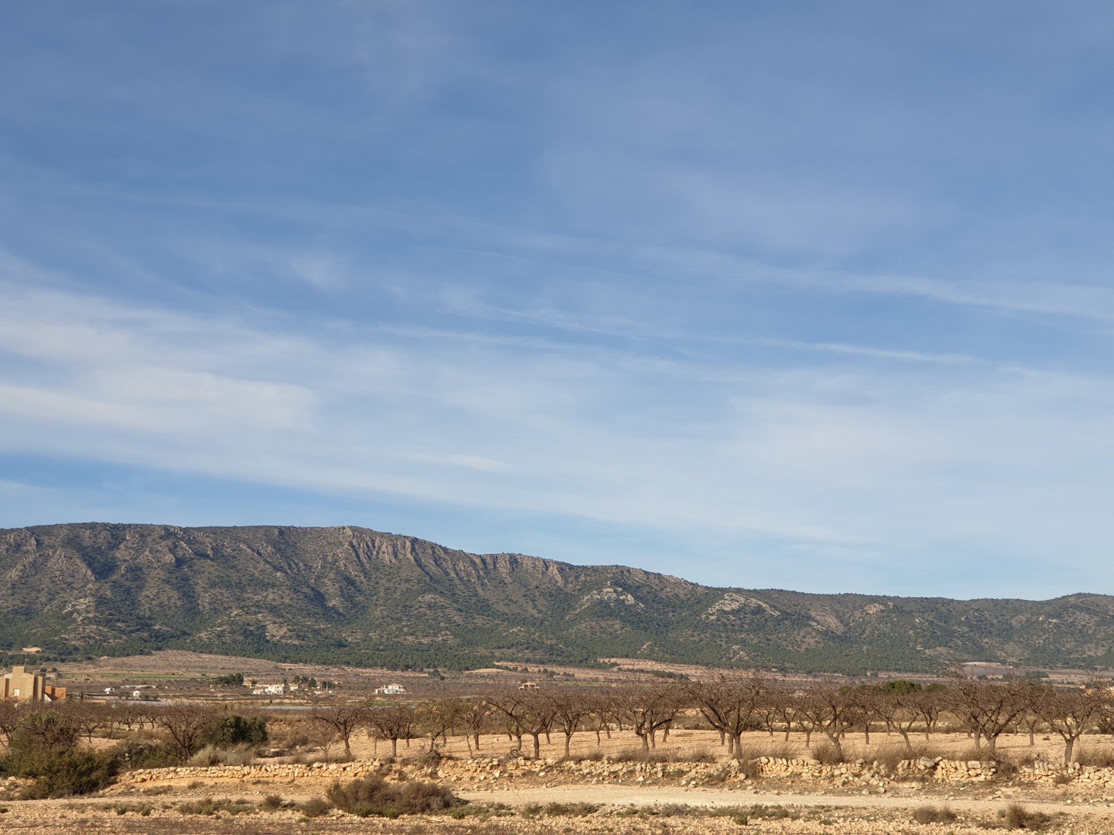 12,116 m² Land in Pinoso - Caza De Casa