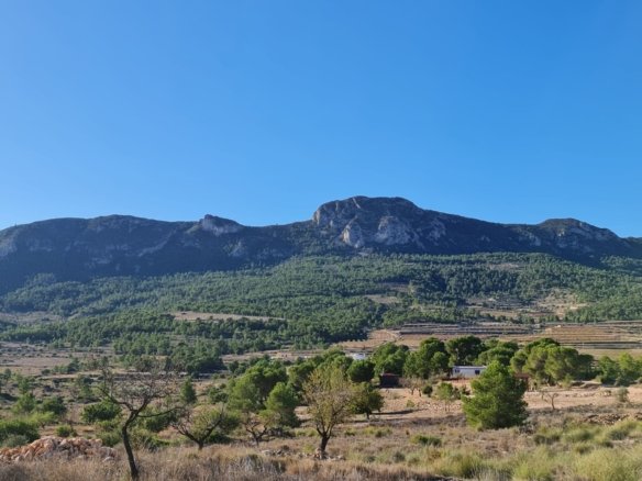 Land in La Romana - Caza De Casa