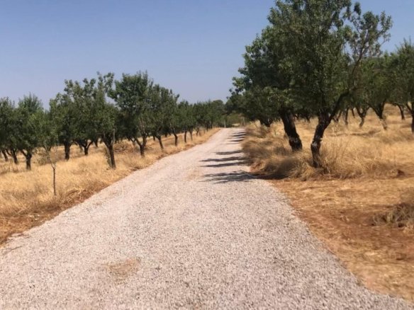 40,000 m² Land in Ayora - Caza De Casa