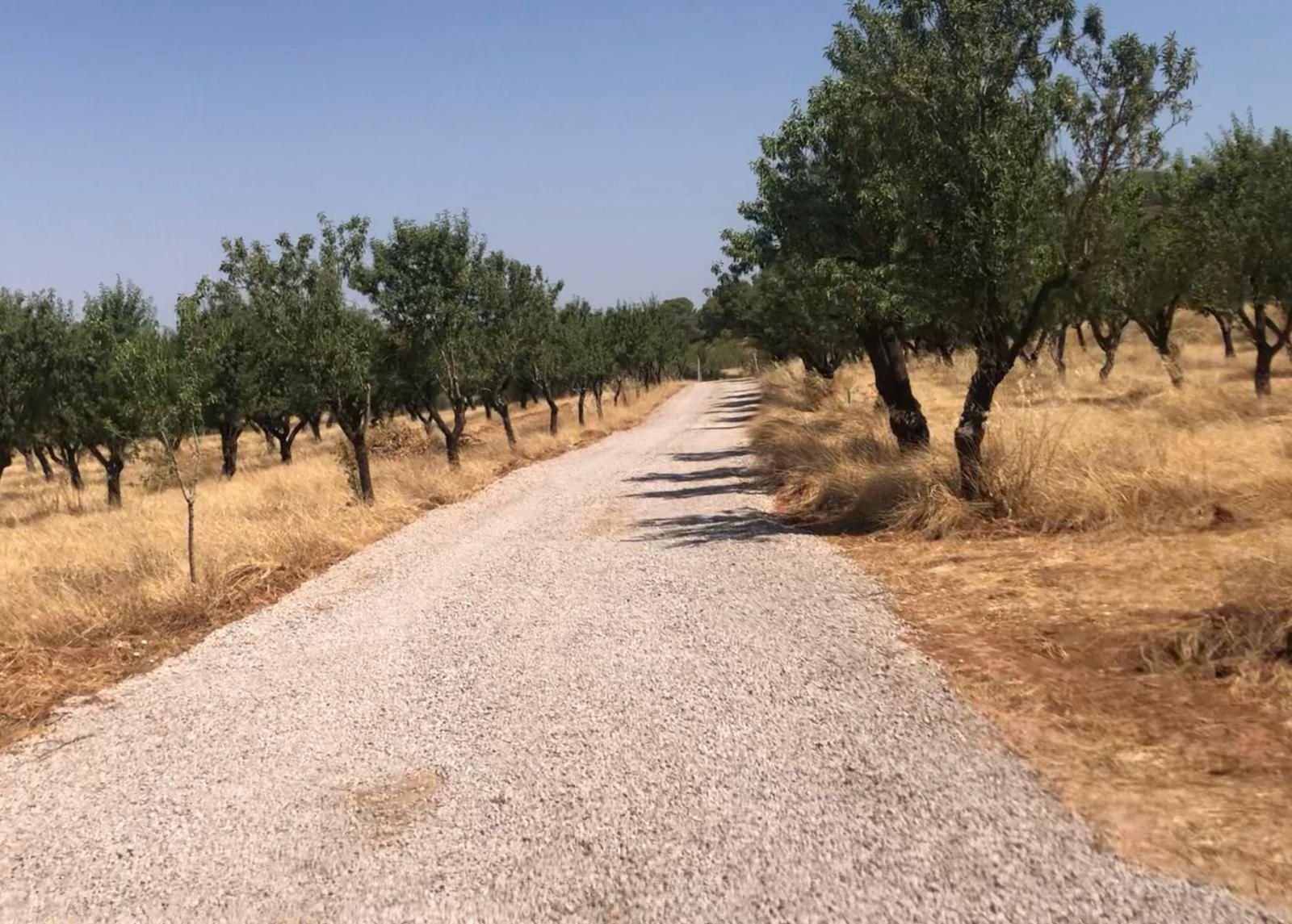 40,000 m² Land in Ayora - Caza De Casa