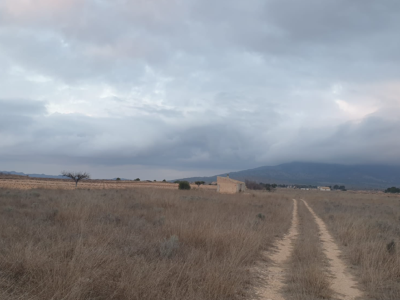 25,200 m² Land in Pinoso - Caza De Casa