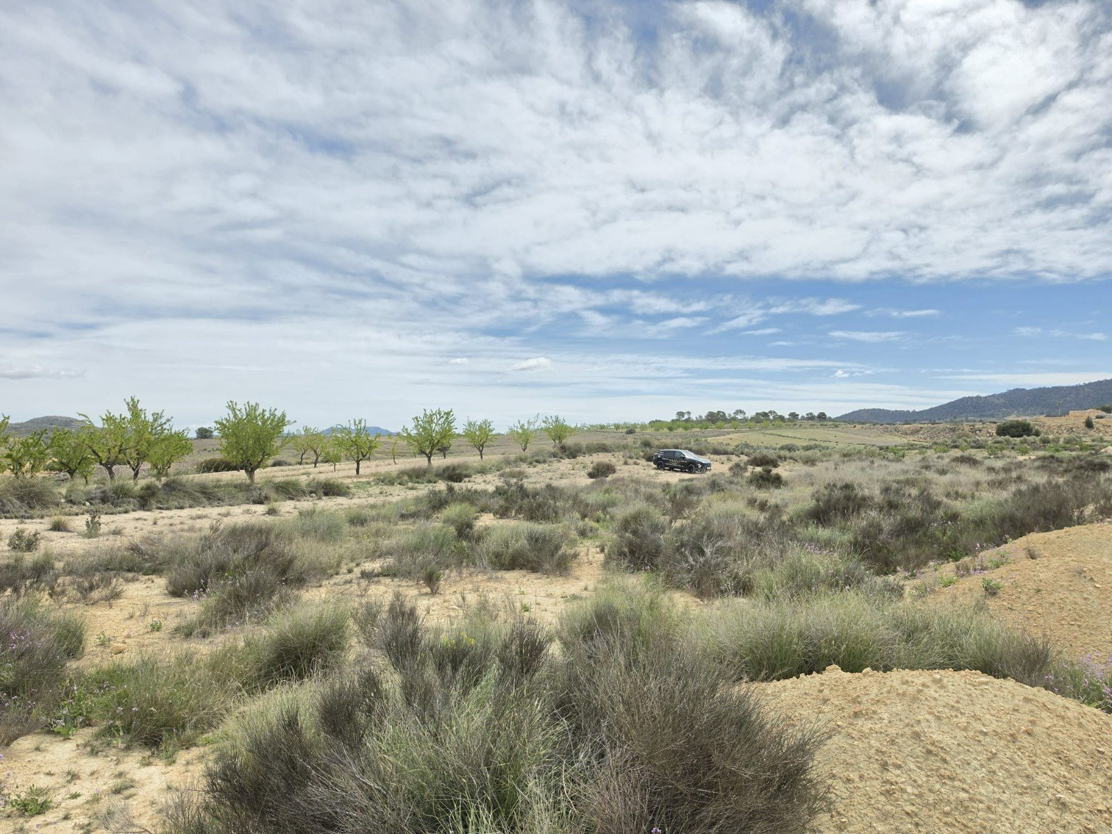 Land in Jumilla - Caza De Casa