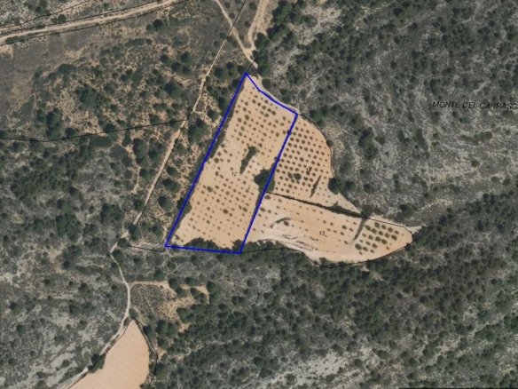10,401 m² Land in Yecla - Caza De Casa