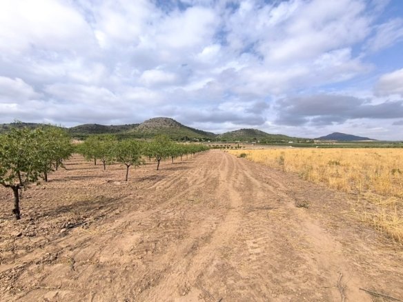 55,162 m² Land in Yecla - Caza De Casa