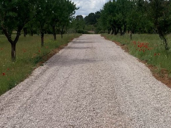 40,000 m² Land in Ayora - Caza De Casa