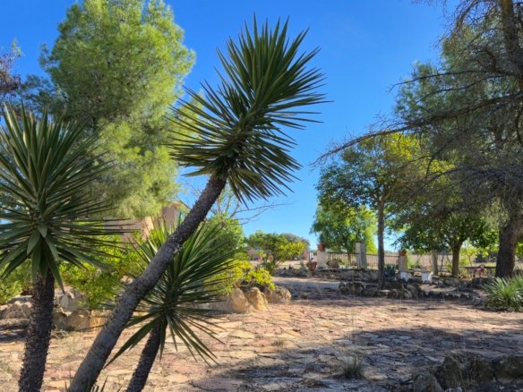4 Bedroom 1 Bathroom Country House in Almansa - Caza De Casa