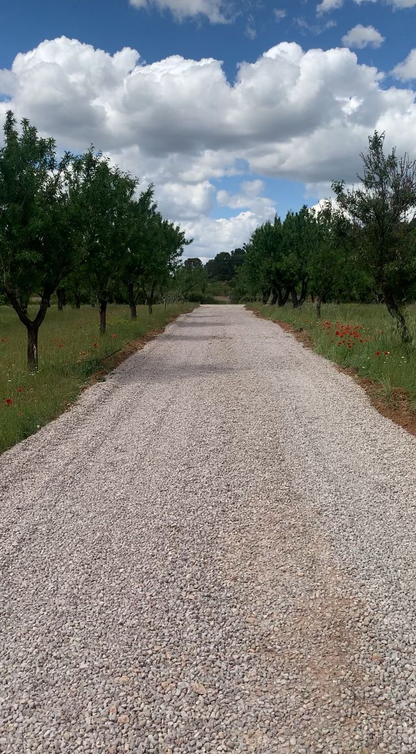 40,000 m² Land in Ayora - Caza De Casa