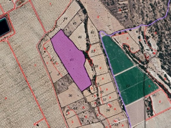 Land in Monóvar/Monóver - Caza De Casa