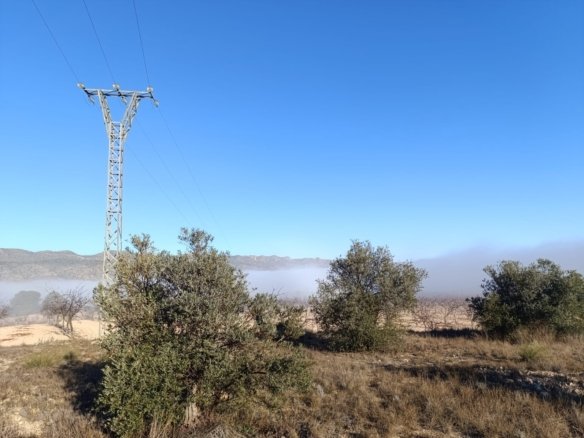 9,197 m² Land in Yecla - Caza De Casa