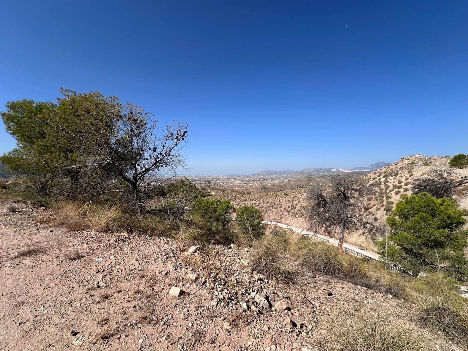 21,500 m² Land in Macisvenda - Caza De Casa