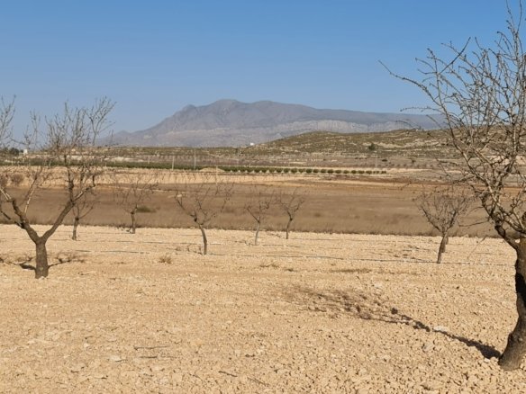 Land in Jumilla - Caza De Casa
