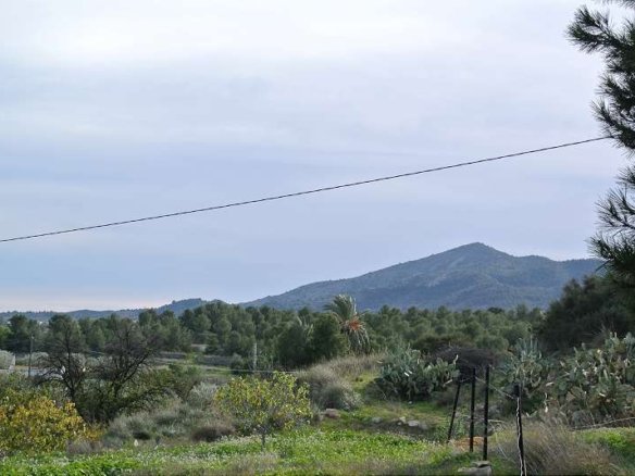 4 Bedroom 1 Bathroom Country House in Monóvar/Monóver - Caza De Casa
