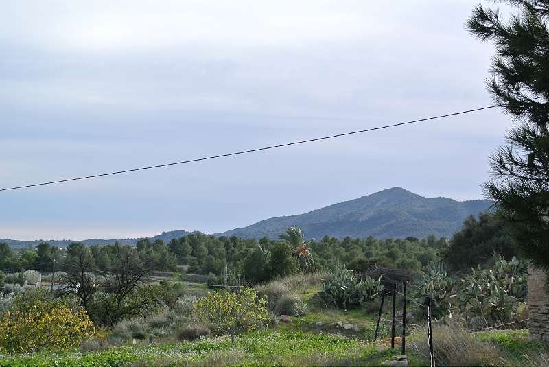 039646ca0c2e4878 4 Bedroom 1 Bathroom Country House in Monóvar/Monóver - Caza De Casa