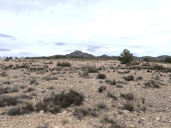 Land in Salinas - Caza De Casa