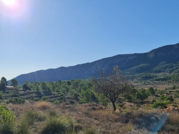 Land in La Romana - Caza De Casa