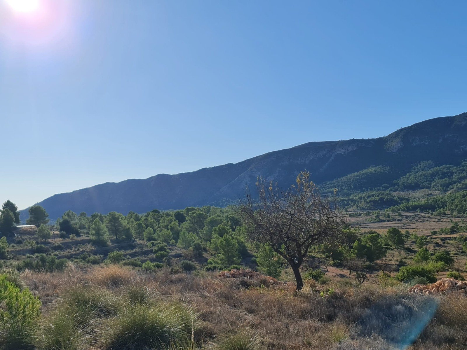 Land in La Romana - Caza De Casa