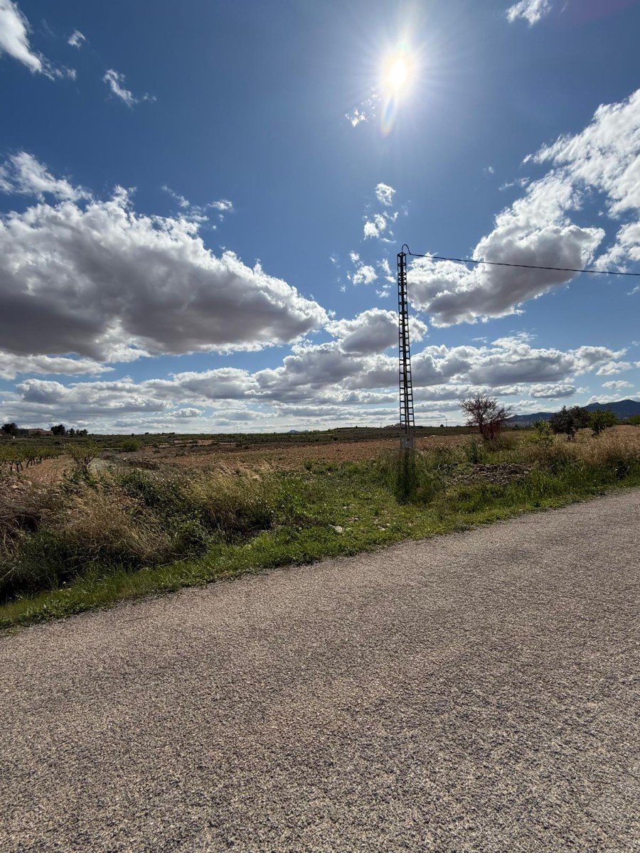 10,014 m² Land in Pinoso - Caza De Casa