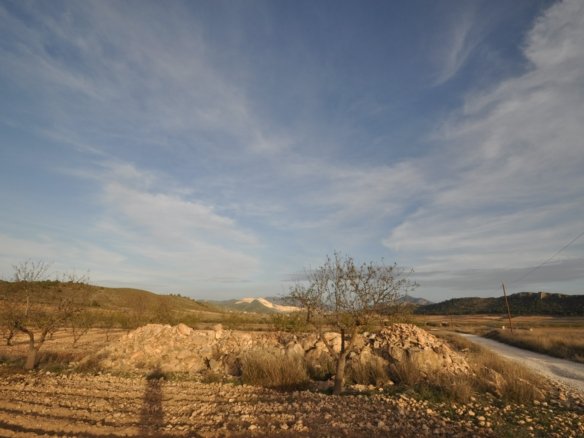 Land in Abanilla - Caza De Casa