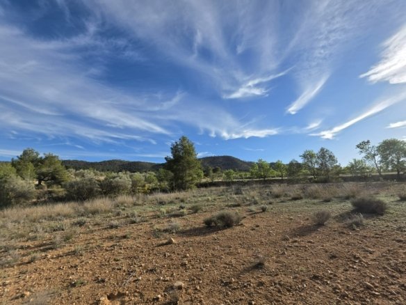 8,802 m² Land in Monóvar/Monóver - Caza De Casa
