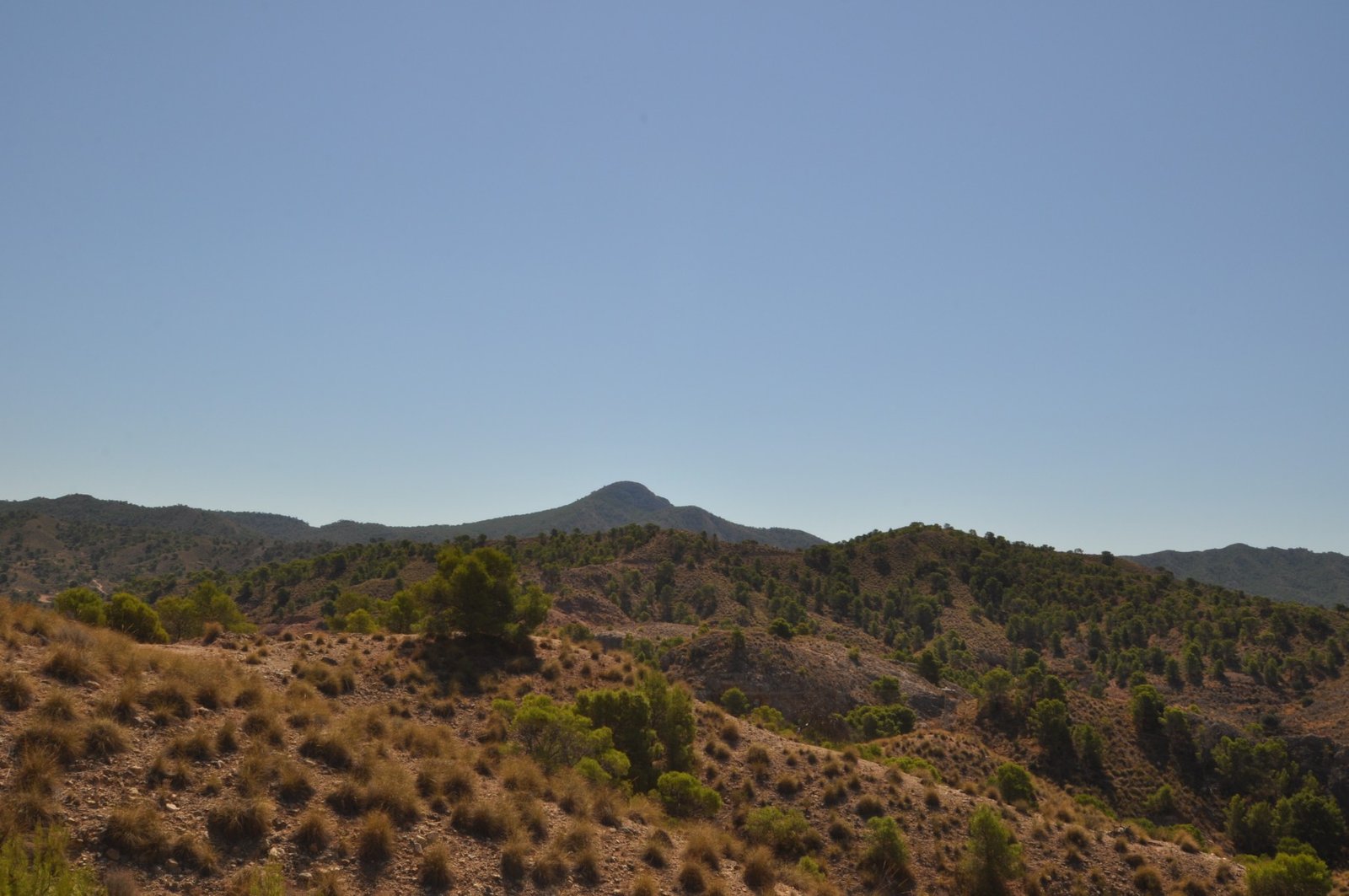 21,500 m² Land in Macisvenda - Caza De Casa