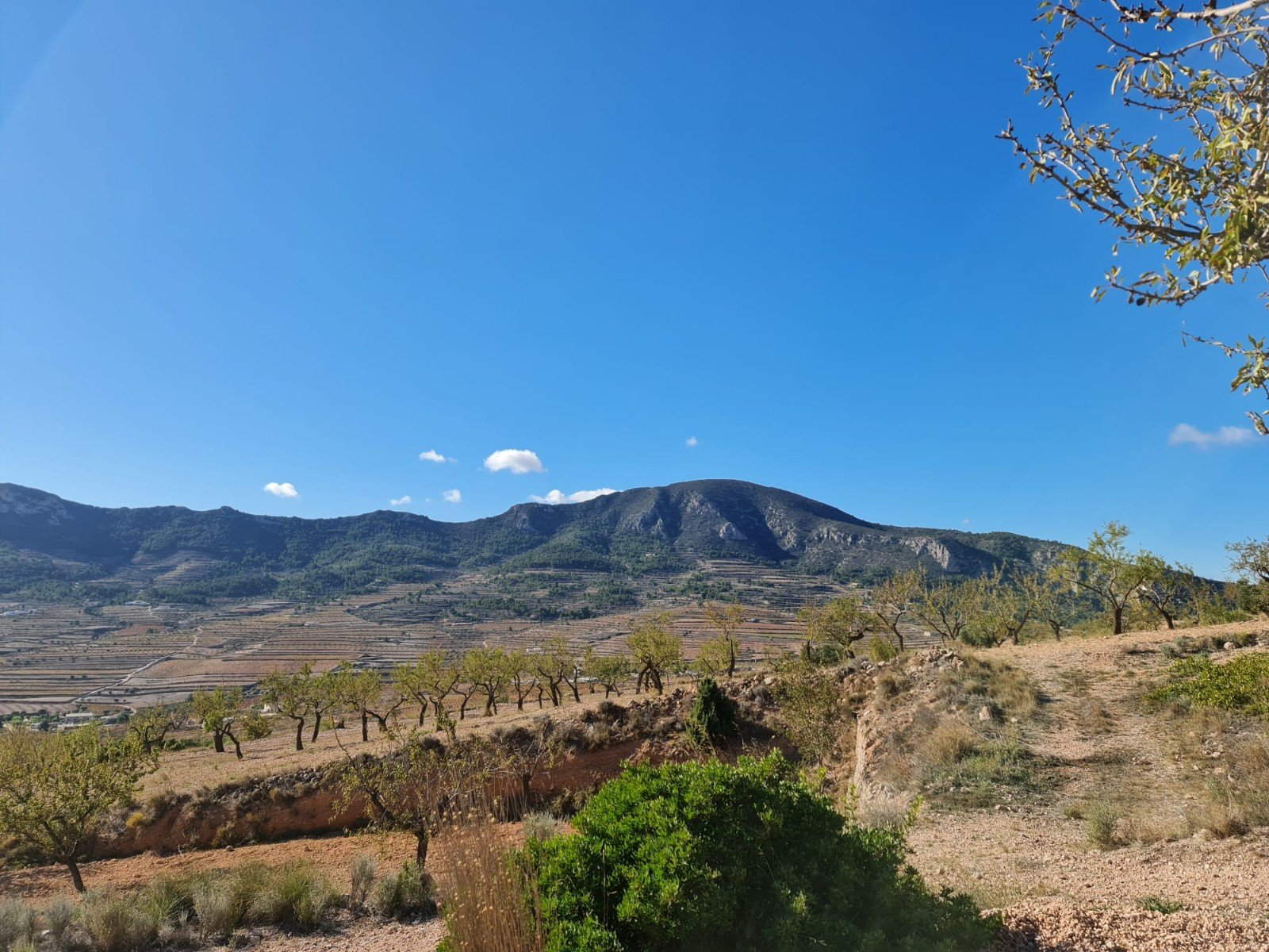 Land in La Romana - Caza De Casa