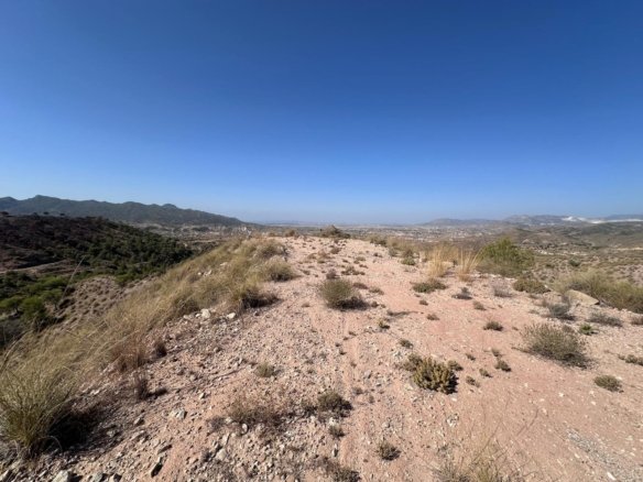 21,500 m² Land in Macisvenda - Caza De Casa