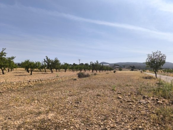 4,780 m² Land in Monóvar/Monóver - Caza De Casa