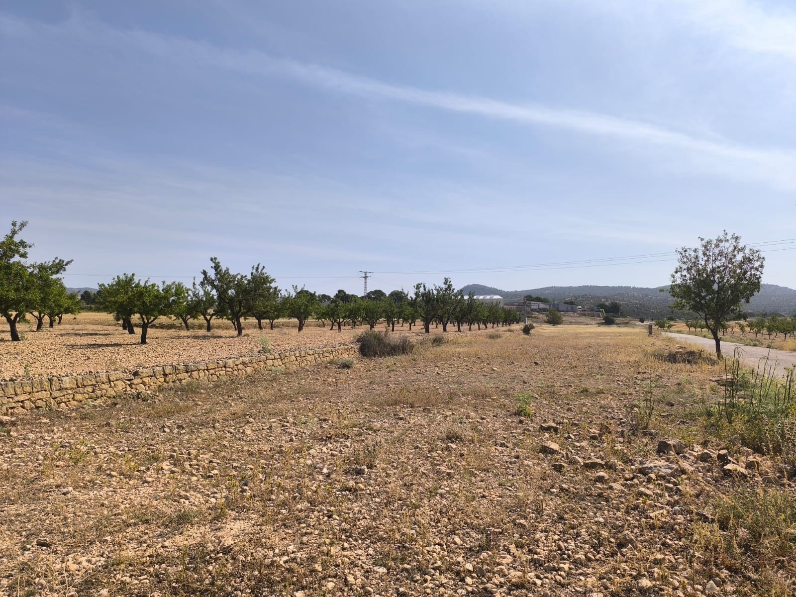 4,780 m² Land in Monóvar/Monóver - Caza De Casa