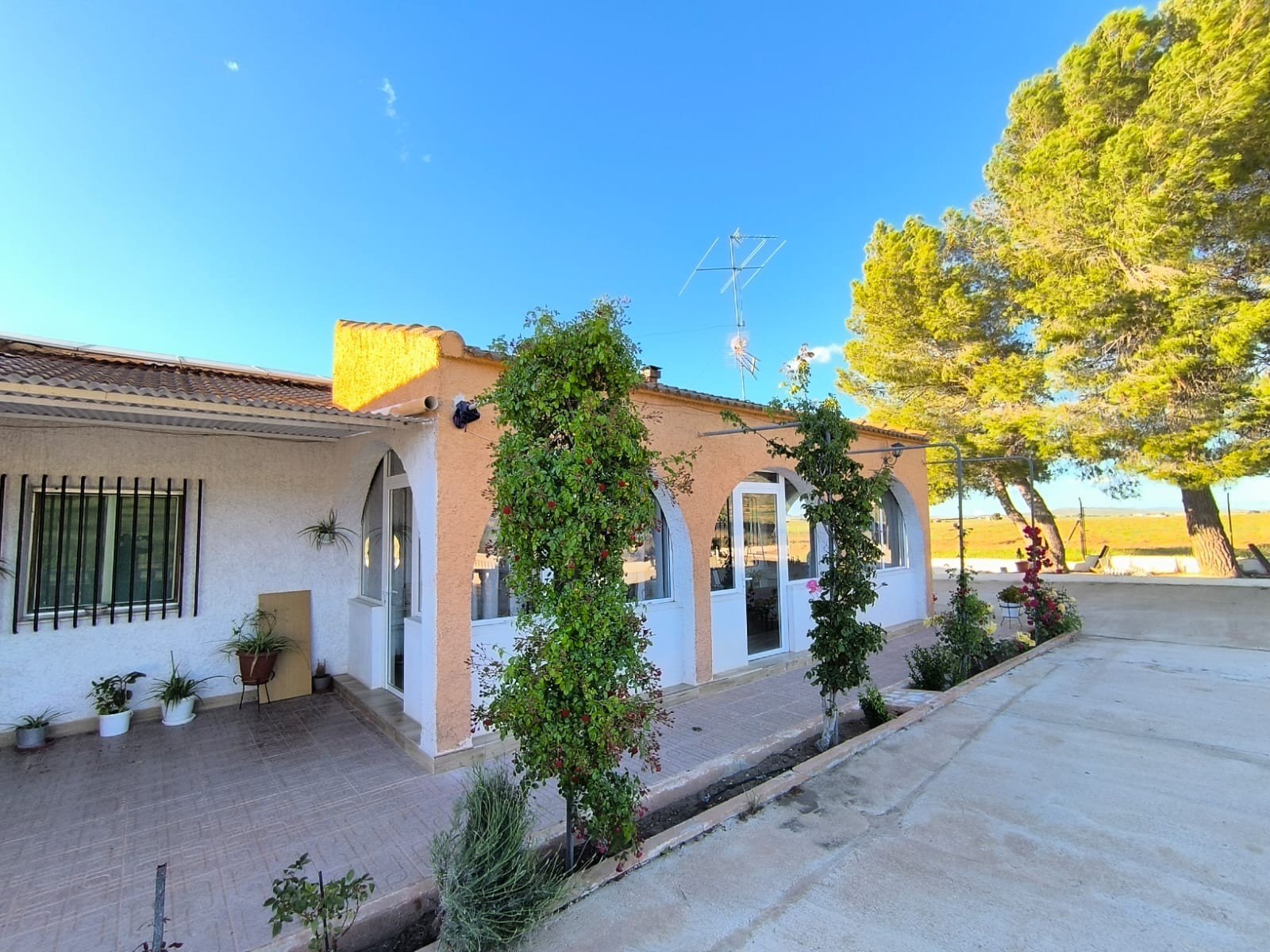 4 Bed 2 Bath Country House in Yecla - Caza De Casa